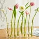thumbnail image 4 of 6Pcs Hinged Flower Vase Clear Glass Test Tube Hanging Flower Holder for Home Decor, S, 4 of 5