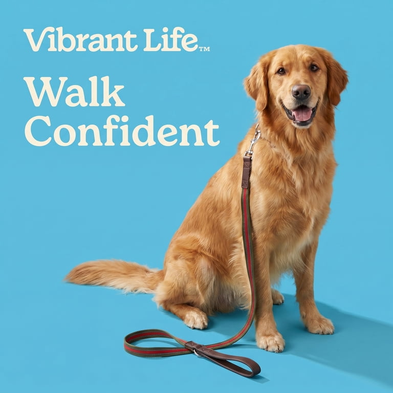 Vibrant Life 6' Reflective Leash, Olive photo 4