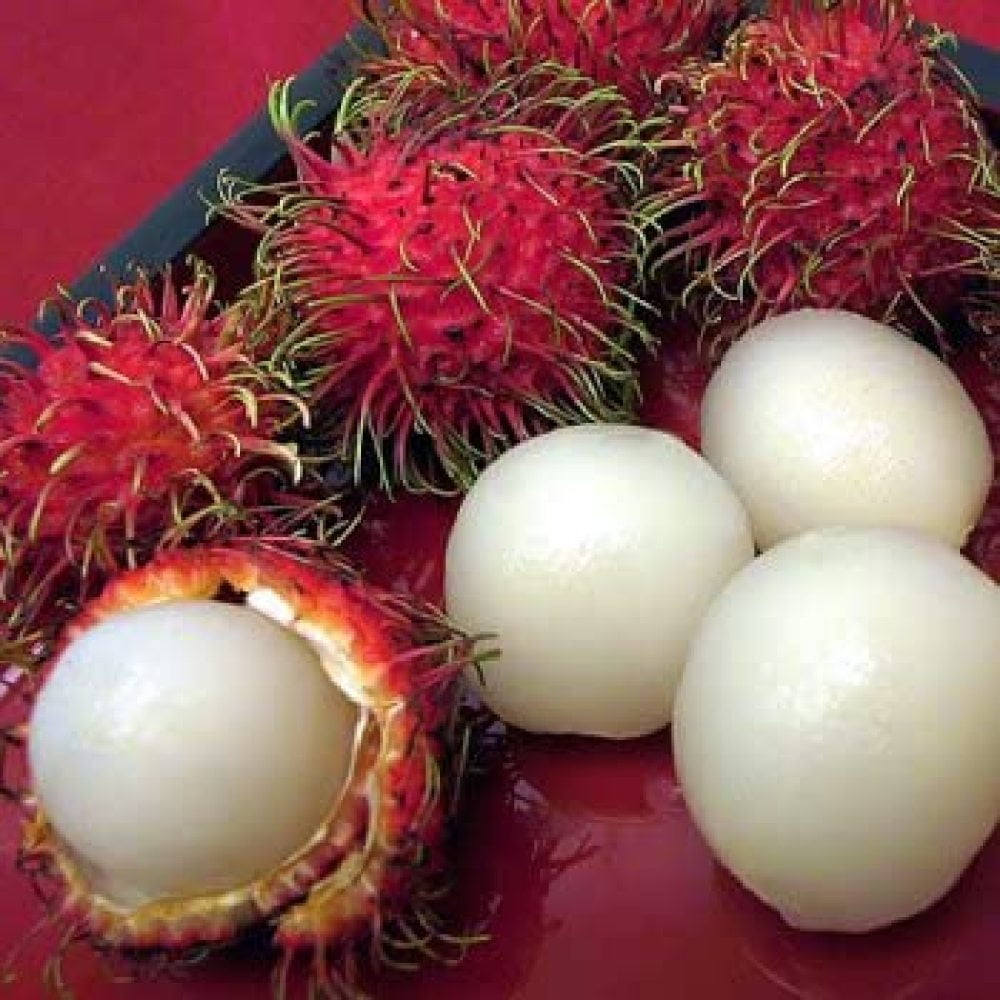 Set of 3 Artificial Rambutan Fake Fruit Home Decor 