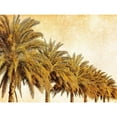 thumbnail image 3 of Nall, Skip 14x12 Black Modern Framed Museum Art Print Titled - Palms on Brown I, 3 of 5