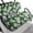 Hibiscus Mutabilis Green, variant on Garronmavis Blue Dog Claws Golf Cart Front Seat Covers for Outdoor Protection Front Elastic Seat Covers Universal Fit for All Brand Golf Cart Replacement Seat Cover