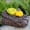 B, variant on Resin Stone Key Holder Camouflage - Outdoor Hiding Key Box - Garden Storage for Spare Keys - Weatherproof Hidden Key Case - Secure Key Hider for Home Yard Courtyard - Fake Rock Key Safe - 1 Pack