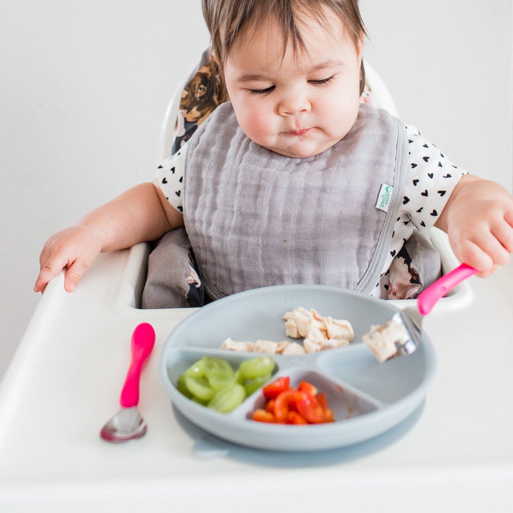 green sprouts Organic Cotton Muslin Bibs (5pk)-Rose Set-0-12 mo