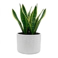 thumbnail image 1 of Maceta Decorativa Grande Cerámica Esmaltada Blanca Rayada, 1 of 5