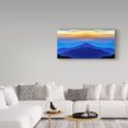 thumbnail image 3 of Trademark Fine Art 'Nature Collection 28' Canvas Art by Ata Alishahi, 3 of 3