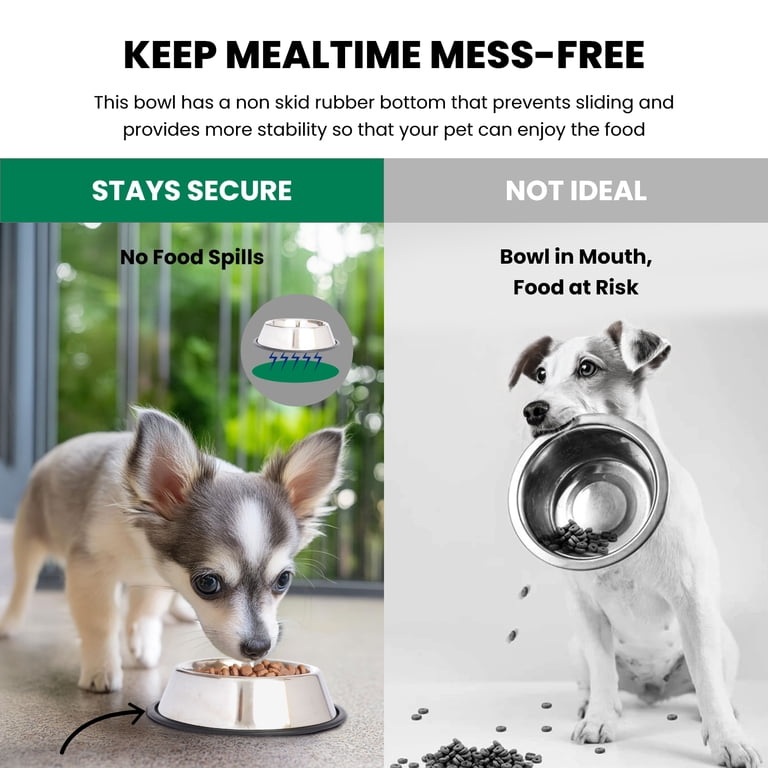 Iconic Pet Stainless Steel Non-Skid Bowls, 8 Oz, 2-Pack photo 3