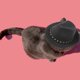 thumbnail image 3 of Sombrero de vaquero para mascotas de poliéster denim - cinta desmontable para la cabeza, talla única - para perros gatos Fiesta/Decoración exterior, 3 of 7