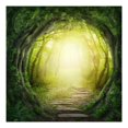 thumbnail image 3 of Tapiz de Paisaje para Colgar en , Tapiz , Tapiz de árboles, Tapiz de Paisaje Natural, Tapiz Brumoso para Dormitorio, PAG perfecl Tapiz tapiz 3D, 3 of 8