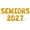 Gold, variant on Letter Balloons - SENIORS 2027 16" Inch Alphabet Letters Foil Mylar Balloon Senior Year Party Banner (Gold)