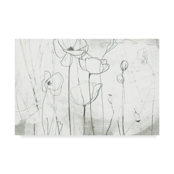 Trademark Fine Art 'Poppy Sketches I' Canvas Art by June Erica Vess