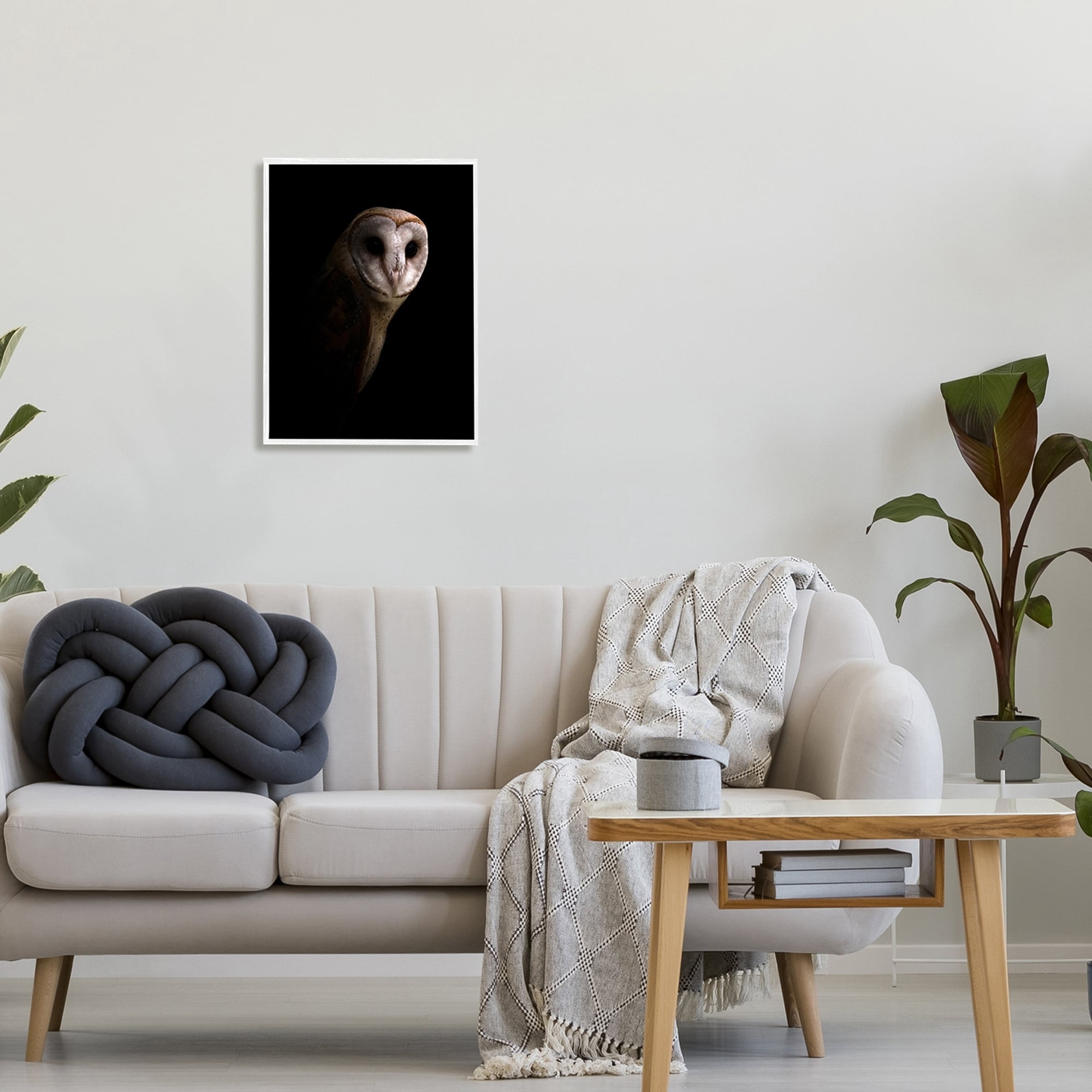 Stupell Industries Beautiful Intense Barn Owl Black Shadow Photography Portrait , 11 x 14, Design by Incado