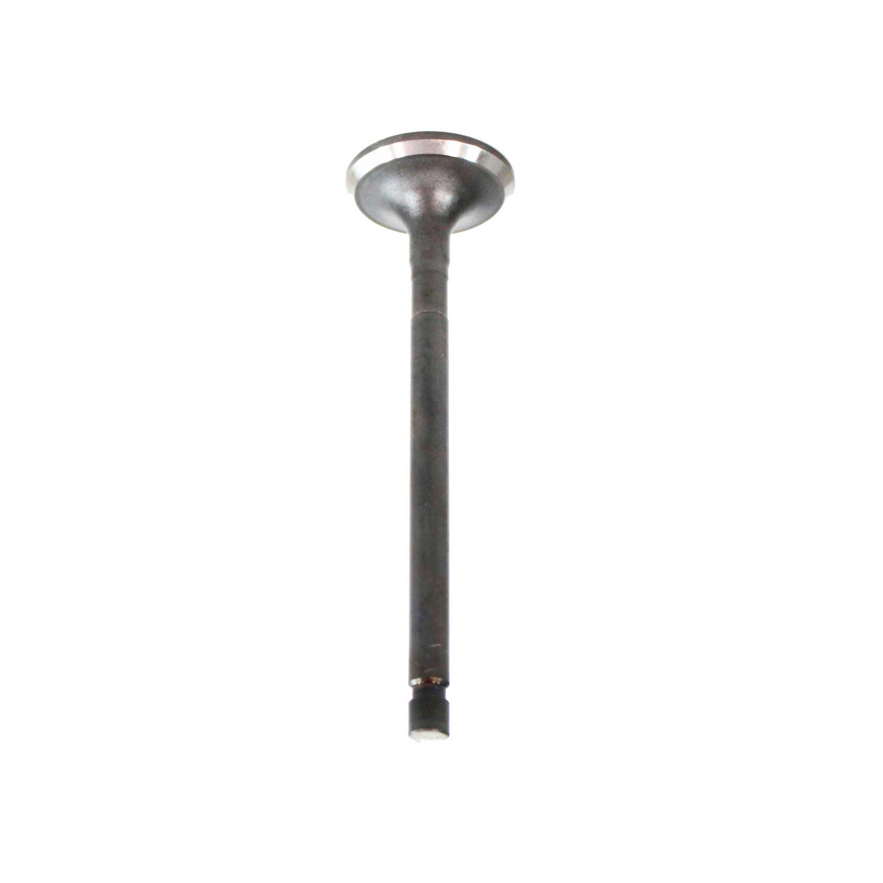 DNJ EV922 Exhaust Valve Fits Cars & Trucks 01-15 Lexus Pontiac Camry Corolla 2.0L L4 DOHC 16v