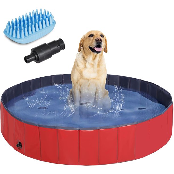 How Do You Keep A Dog Pool Clean