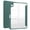 Dark Green, variant on Case For iPad 11 A16 (2025)/iPad 10th Generation 10.9" (2022) Transparent Back Cover With Pen-Solt