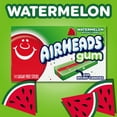 thumbnail image 3 of Airheads Gum, Sugar Free Watermelon, 14 Regular Size Sticks (12 Pack, 168 Total Pieces), 3 of 6