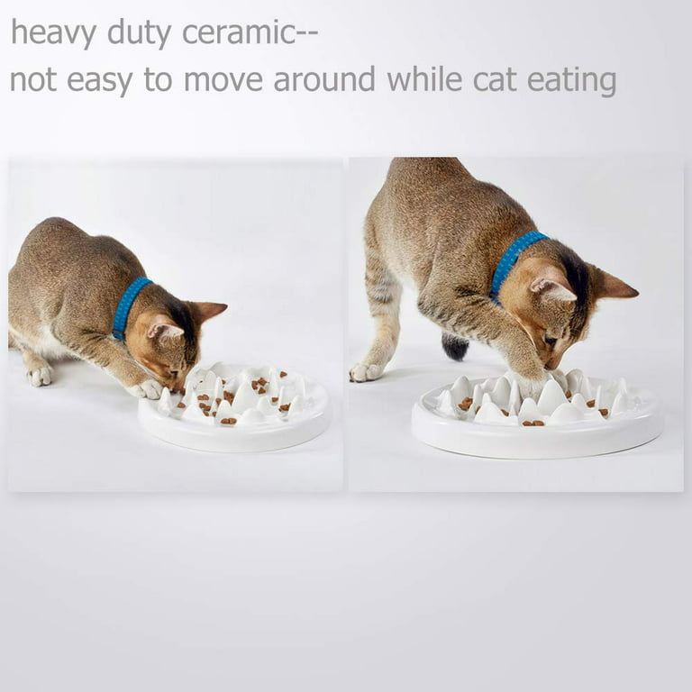 Elevated Cat Bowl, Ceramic Slow Feeder Cat Puzzle Food Bowl Water Bowl With  Wooden Stand, Anti-choking Raised Dog Cat Basin To Slow Down Eating - Temu