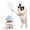 Blue, variant on Cat Slow Feeder Toy with Feather Teaser, Interactive Puzzle Feeder for Cats, Mental Stimulation Foraging Toy, Suitable for Dry & Wet Food(Blue)