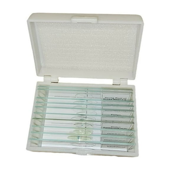 Microscope Slide , Prepared Animal Set 10 slides. Glass slides and coverslips with quality specimens.
