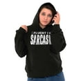 thumbnail image 3 of Fluent in Sarcasm Funny Attitude Unisex Plus Fleece Graphic Hoodie Brisco Brands 2X, 3 of 5