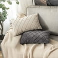 thumbnail image 4 of HTOOQ Velvet Throw Pillow Covers Decorative Rectangular Soft Solid Pillowcases Plaid 12 X 20 Inch Dark Grey Couch Pillows Set of 2 Cushion Covers with Invisible Zipper for Sofa Bedroom Living Room, 4 of 6