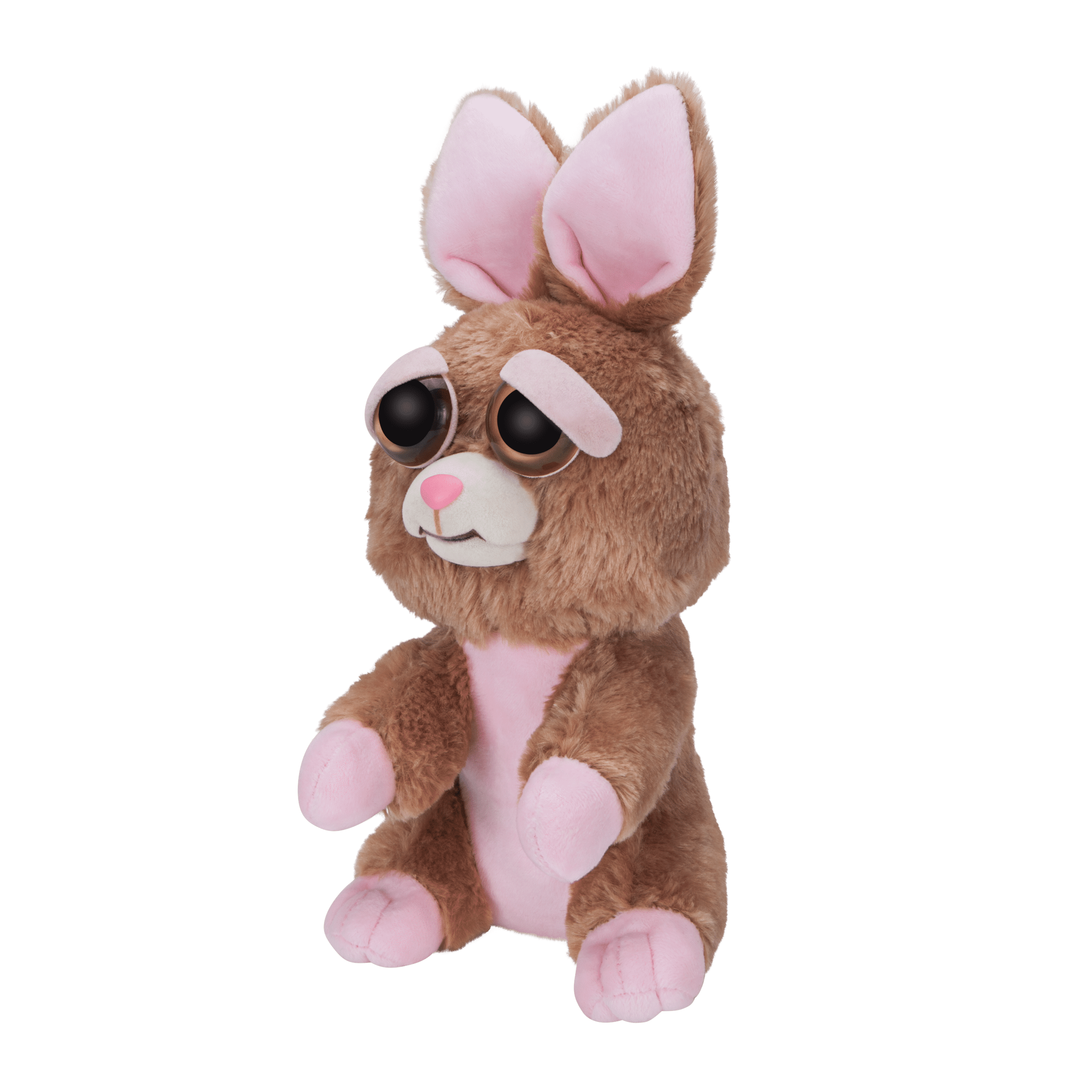 bunny feisty pet