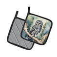 thumbnail image 2 of Carolines Treasures DAC7459PTHD 7.5 x 7.5 in. Great Gray Owl Pot Holders - Set of 2, 2 of 5