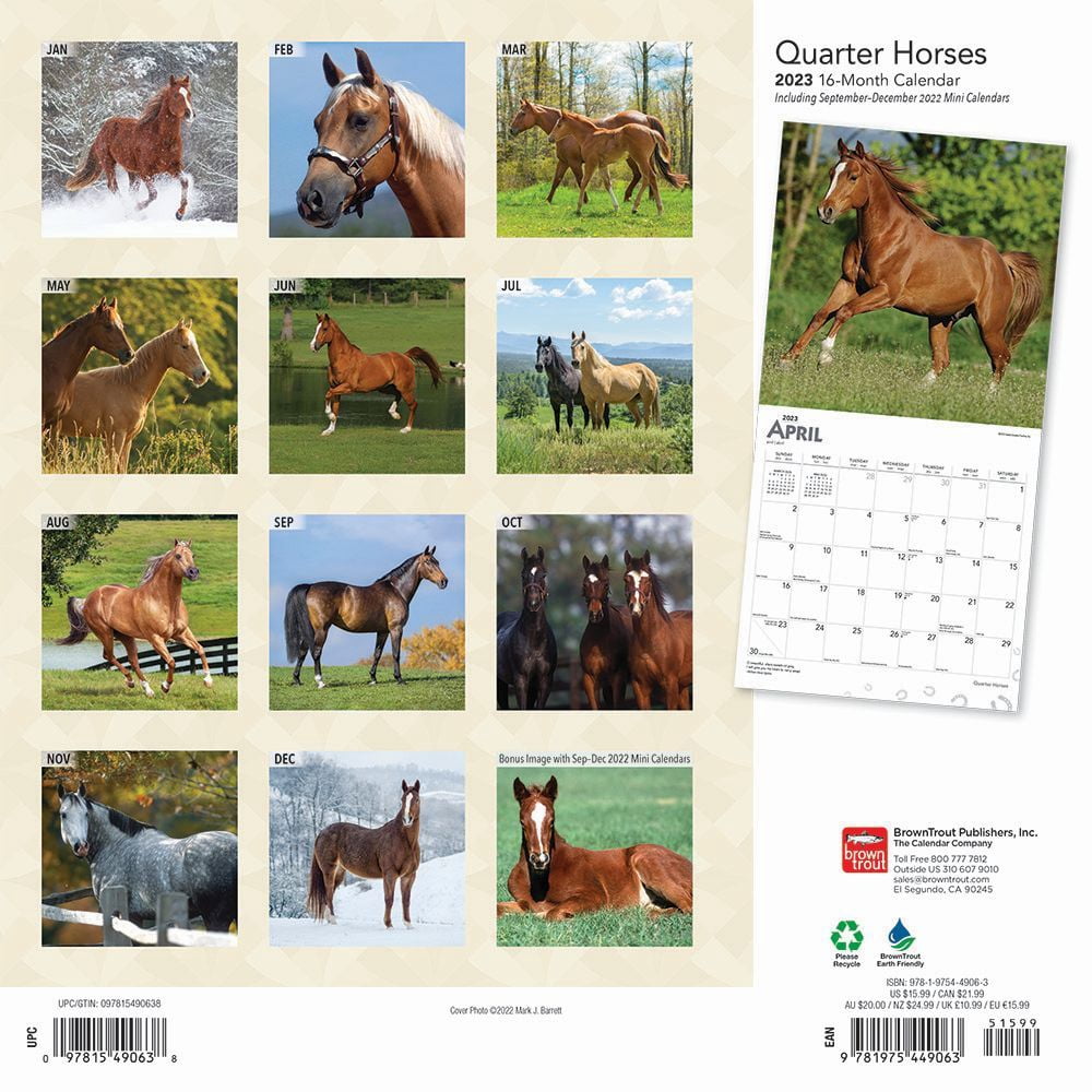 Quarter Horses | 2023 12 x 24 Inch Monthly Square Wall Calendar | BrownTrout | Animals Equestrian, 9781975449063, 1975449061, Paperback, Square Wall 12x12 edition