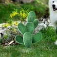 thumbnail image 5 of PRETXORVE Cactus Green Plant Courtyard Garden Outdoor Decoration in, 5 of 7