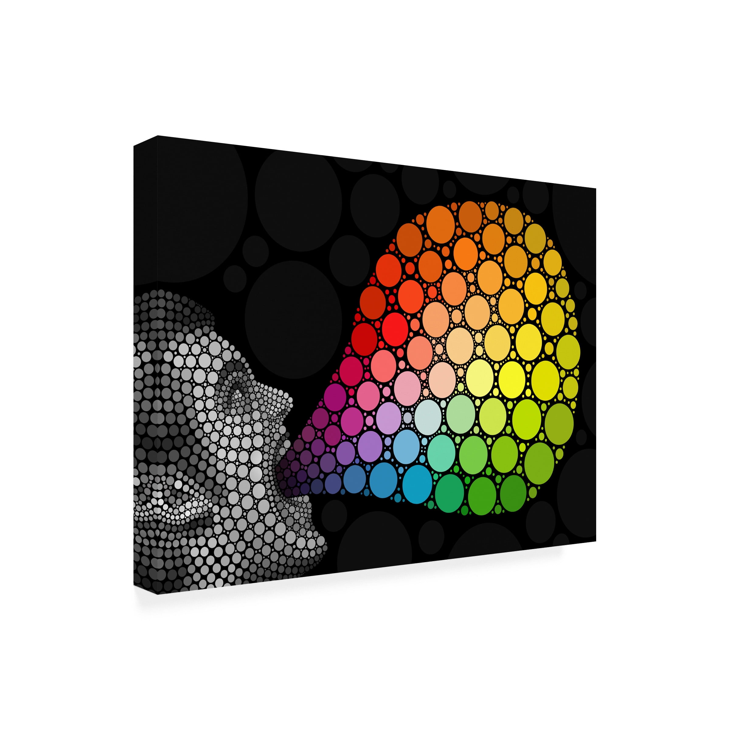 Ben Heine 'Give Me Colors' Canvas Art