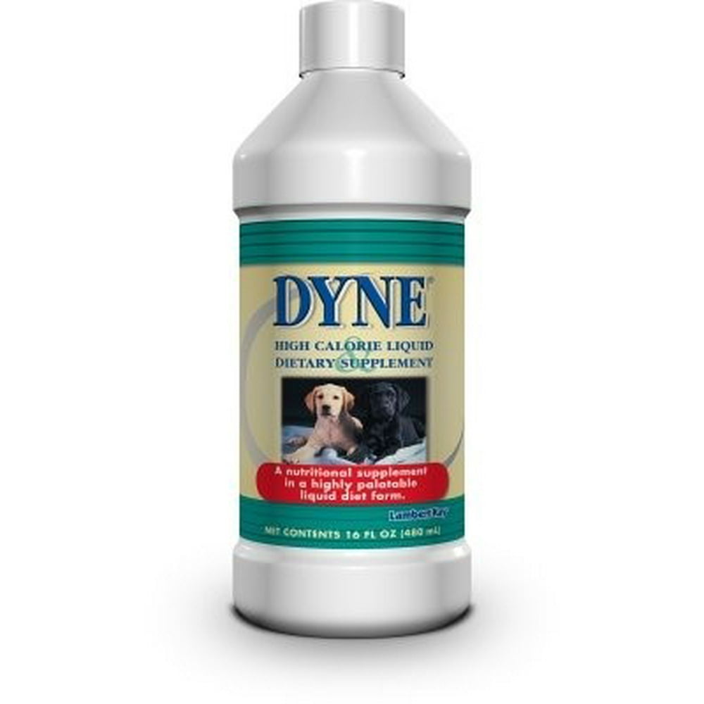 Lambert Kay Dyne High Calorie Dietary Dog Supplement, 16 Oz Walmart