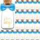 thumbnail image 1 of Biberones de vidrio para leche para bebés Ethisa Small, paquete de 24 unidades, It's a Boy, 1 of 6