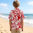thumbnail image 3 of Sentuca Summer Boys Shirts Short Sleeve Button-down Shirts Casual Beach Graphic Tees for Toddler Clothes Size 2 Years, 3 of 7