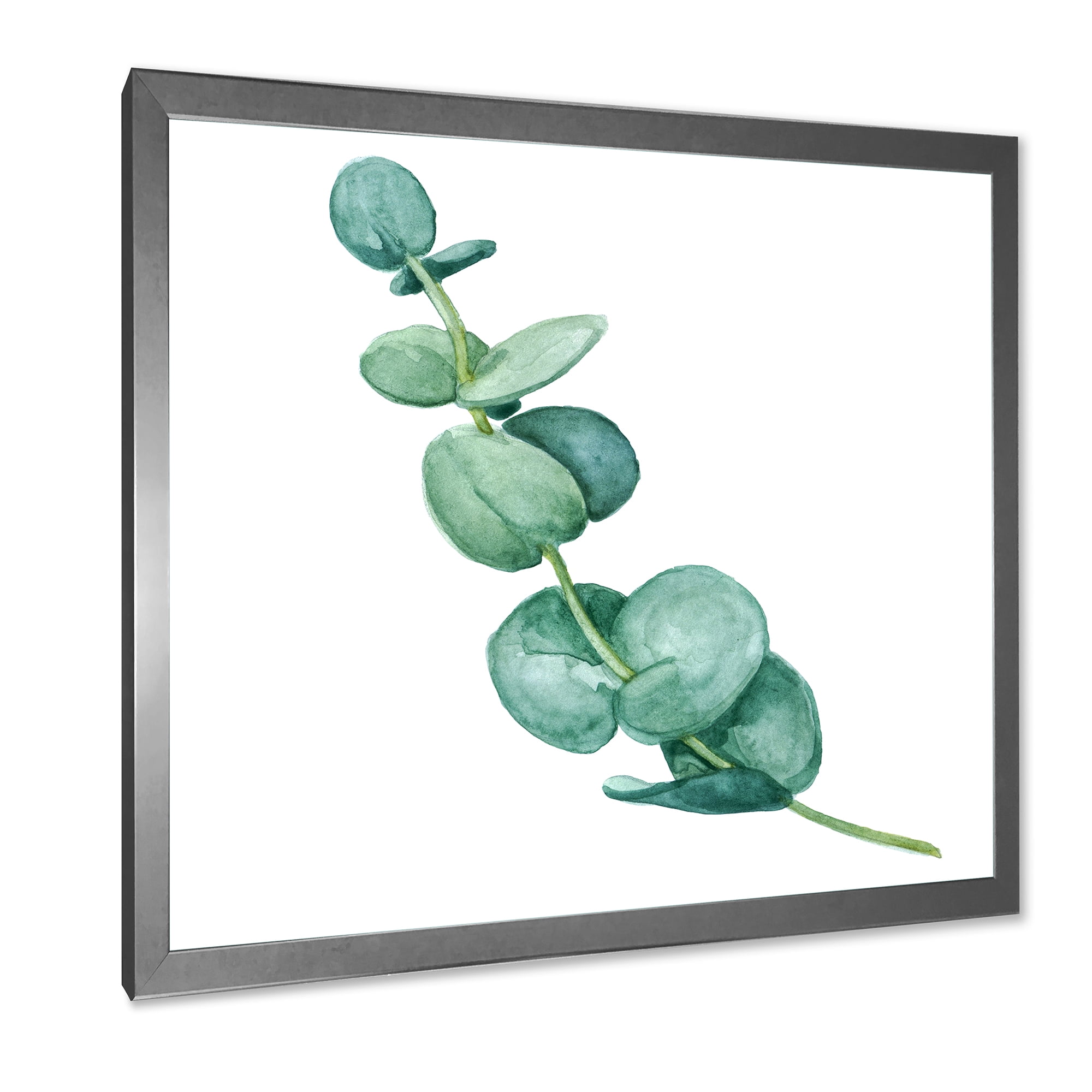 Designart 'Young Eucalyptus Branches and Leaves II' Traditional Framed Art Print