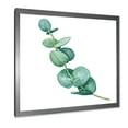 thumbnail image 2 of Designart 'Young Eucalyptus Branches and Leaves II' Traditional Framed Art Print, 2 of 4
