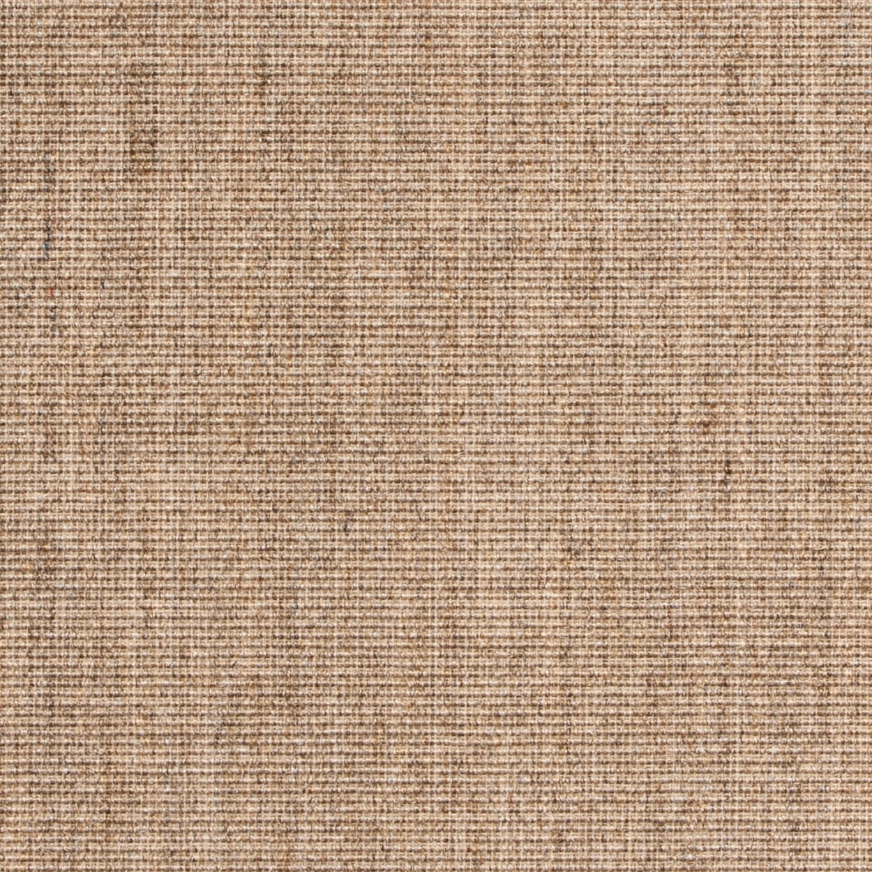 SAFAVIEH Martha Stewart Maximillian Solid Area Rug, Light Brown, 5' x 7'