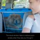 thumbnail image 2 of Funda Impermeable para Asiento de Perro iBuddy tipo Hamaca para SUV/Camioneta, 2 of 6