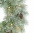 thumbnail image 4 of Puleo International 24" Pre-Lit Battery-Operated Artificial Flocked Wreath, 4 of 6