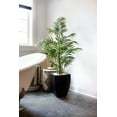 thumbnail image 5 of Nearly Natural 4.5 ft. Areca Palm Tree with Black Wash Planter UV Resistant (Indoor/Outdoor), 5 of 8