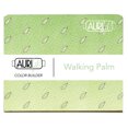 thumbnail image 3 of Aurifil 50wt Cotton Color Builder Thread Collection-Walking Palm, 3 of 4