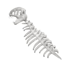 YujiCraft Dinosaur Skeleton Hood Plush Toy, Cute Dinosaur Plush Stuffed Animal, Fun Graduation Gift for Kids and Teens,Gray