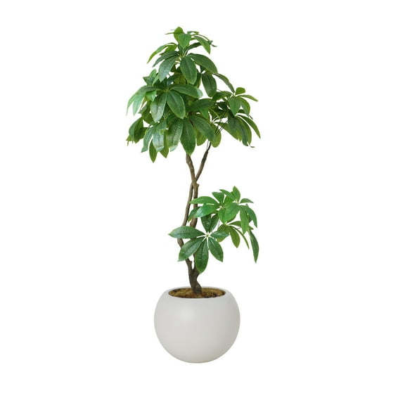 79.75'' Artificial Money Tree in a White fishbowl planter