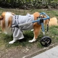 thumbnail image 6 of Dog Wheelchair Hind Limb Paralysis Rehabilitation Wheelchair Pet Walking Aid Hind Leg Support, 6 of 15