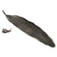 thumbnail image 3 of Varitas de incienso con forma de hoja de caracol, madera de sándalo, adornos decorativos para el hogar, salas de té, 3 of 15