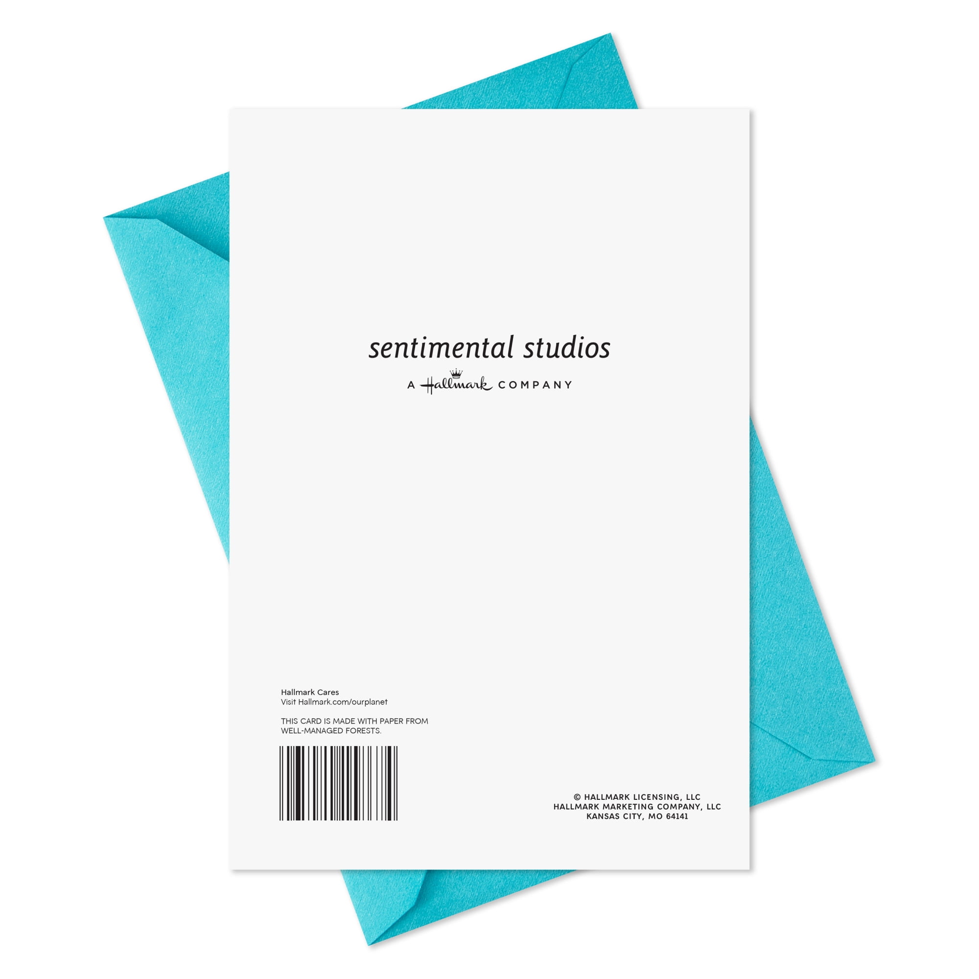 Hallmark Birthday Card (Light Bright Wishes)