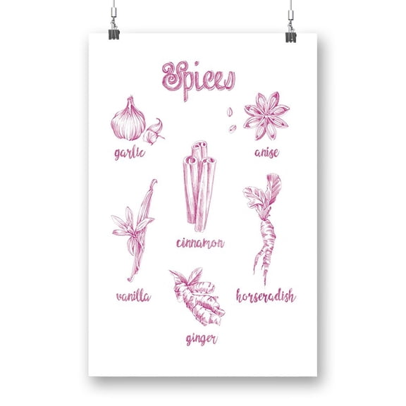 Spice Varieties Poster - Ethan Harper Designs,