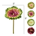 thumbnail image 5 of Collections Etc Artificial Faux Cabbage Rose Flower Stems, Multicolor (2 each Purple, Pink and White) - Set of 6, 5 of 11