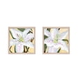 thumbnail image 1 of Great Art Now White Lily by Annie Warren, 2 Piece Framed Art Set Each 13.5W x 13.5H, 1 of 3
