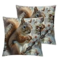 thumbnail image 2 of COMIO Spring Throw Pillow Covers Peach Squirrel Nature Cute Funny Country Flower Grey Decorative Cozys Couch Bedroom Living Rooms Room Cushion Covers Pack of 2 White, 2 of 6