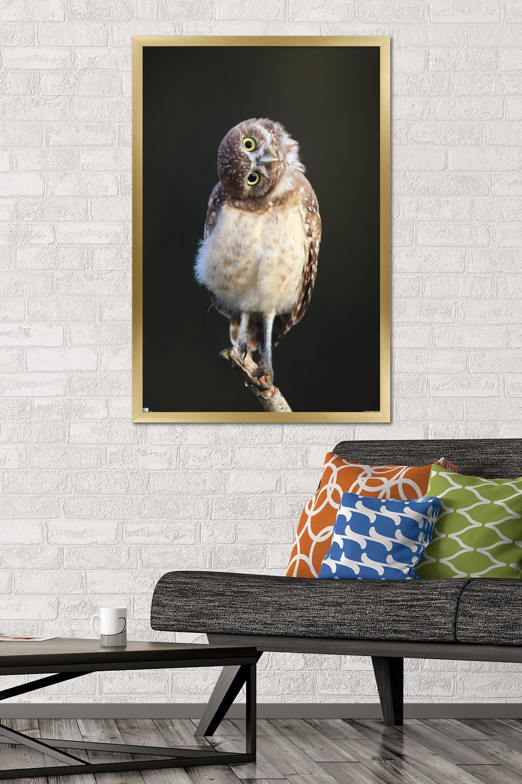 Curious Burrowing Owlet Wall Poster, 22.375" x 34" Framed