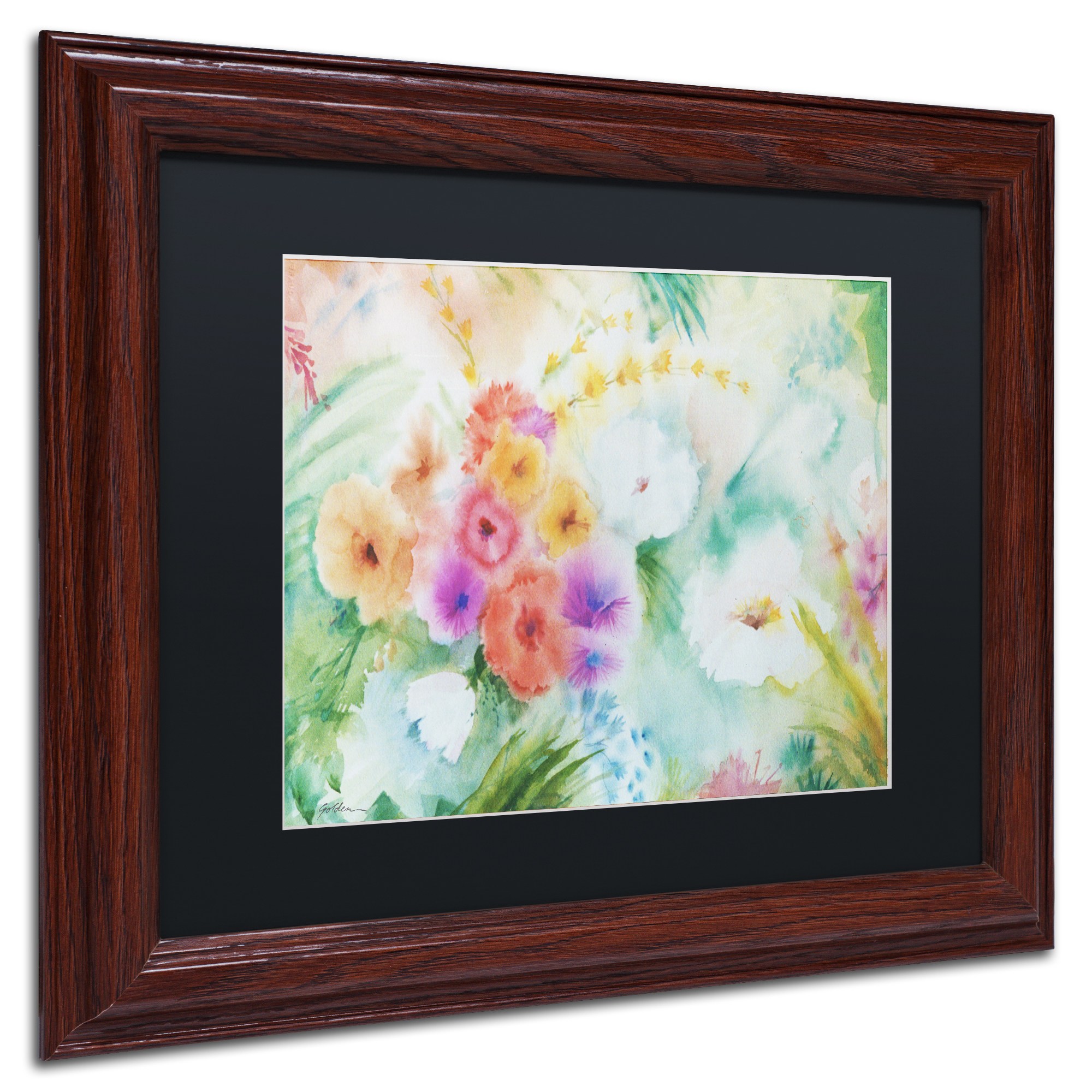Trademark Fine Art "Napa Garden" Canvas Art by Sheila Golden Black Matte, Wood Frame
